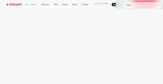 Aerovista website preview