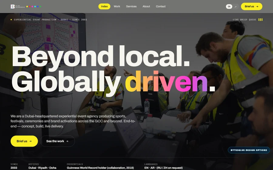 Blink Experience website preview