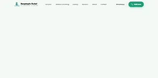 Soaptopia Dubai website preview