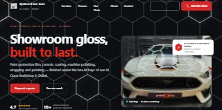 System X Car Polish Paint Protection Film Ppf Ceramic Coating Wr website preview