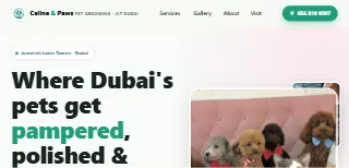 Celine And Paws website preview