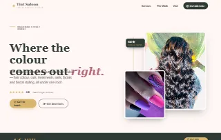 Tint Saloon website preview