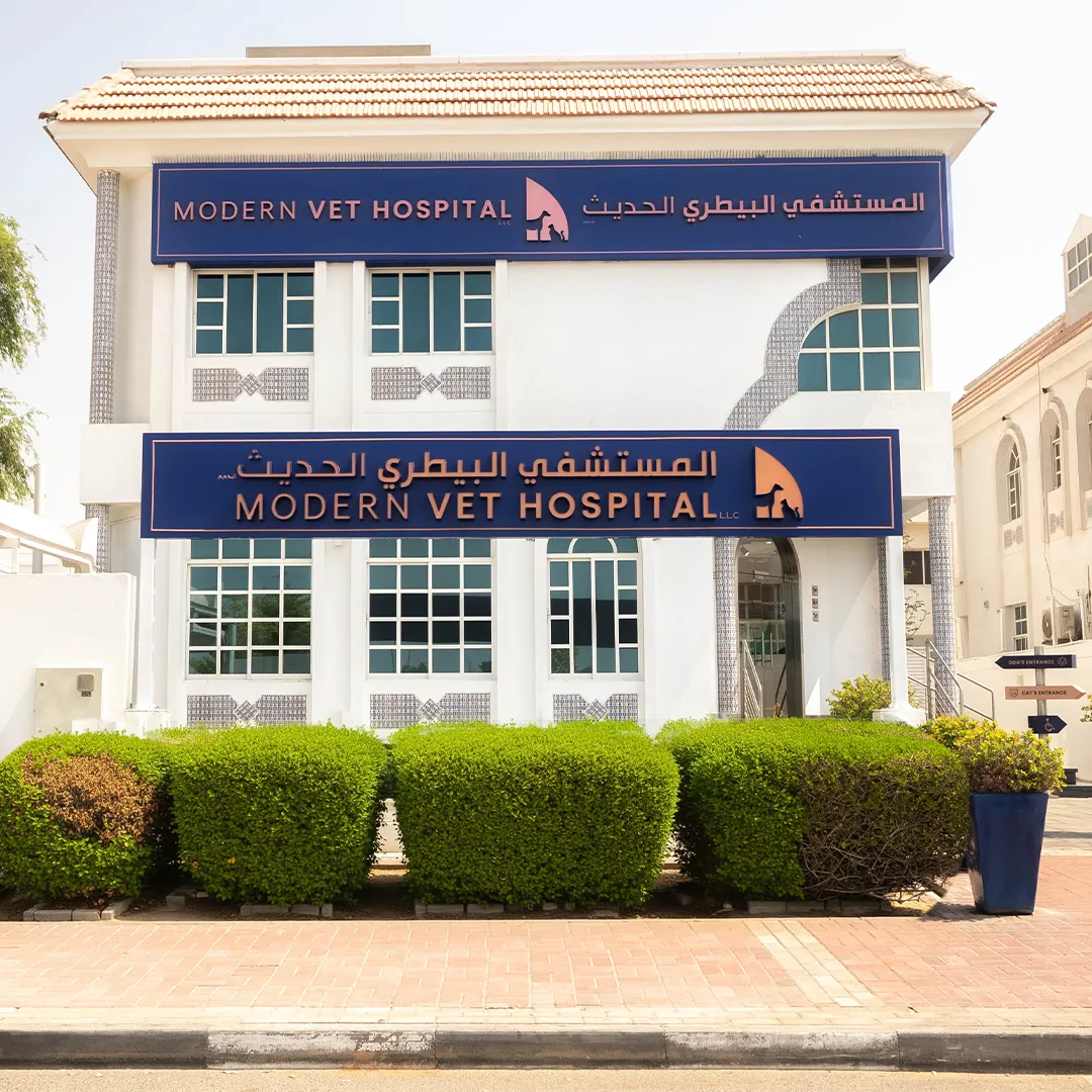 Al Wasl Hospital