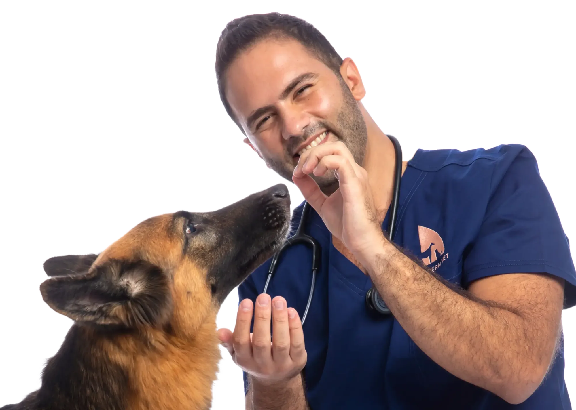 Modern Vet — pet care in Dubai