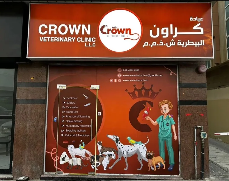 Crown Veterinary Clinic storefront and signage in Dubai Festival City, listing its services