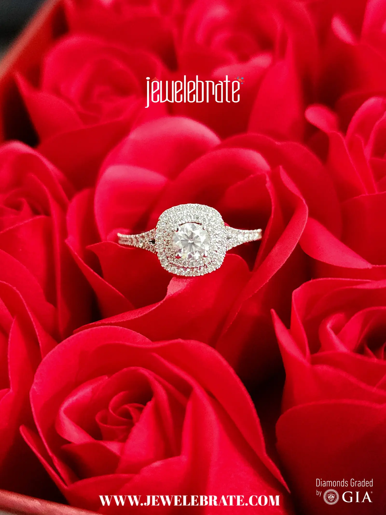 A diamond halo ring nestled in red rose petals.