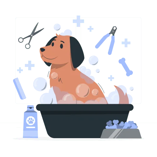 A relaxed dog being bathed and groomed with gentle, pet-safe tools