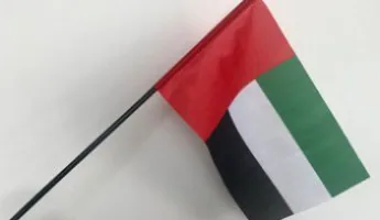Hand-held printed flag