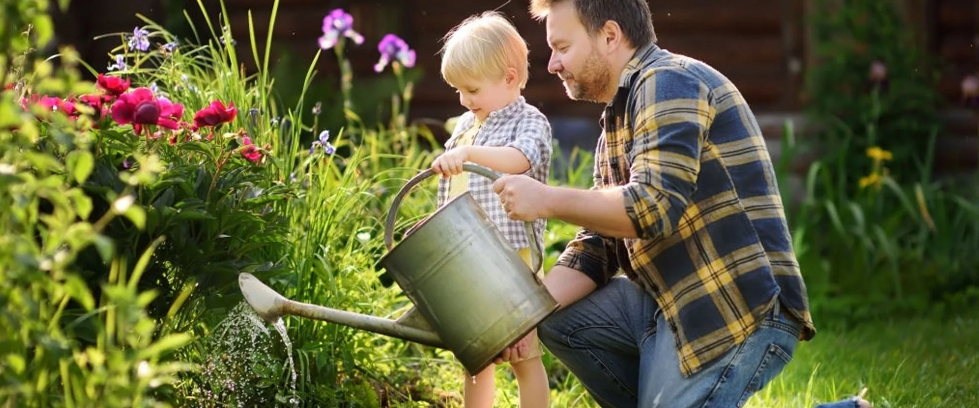 A father and child watering flowers in a lush summer garden