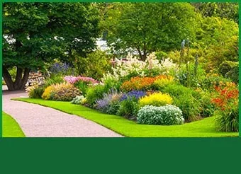 A landscaped garden bed with a winding path and colourful planting