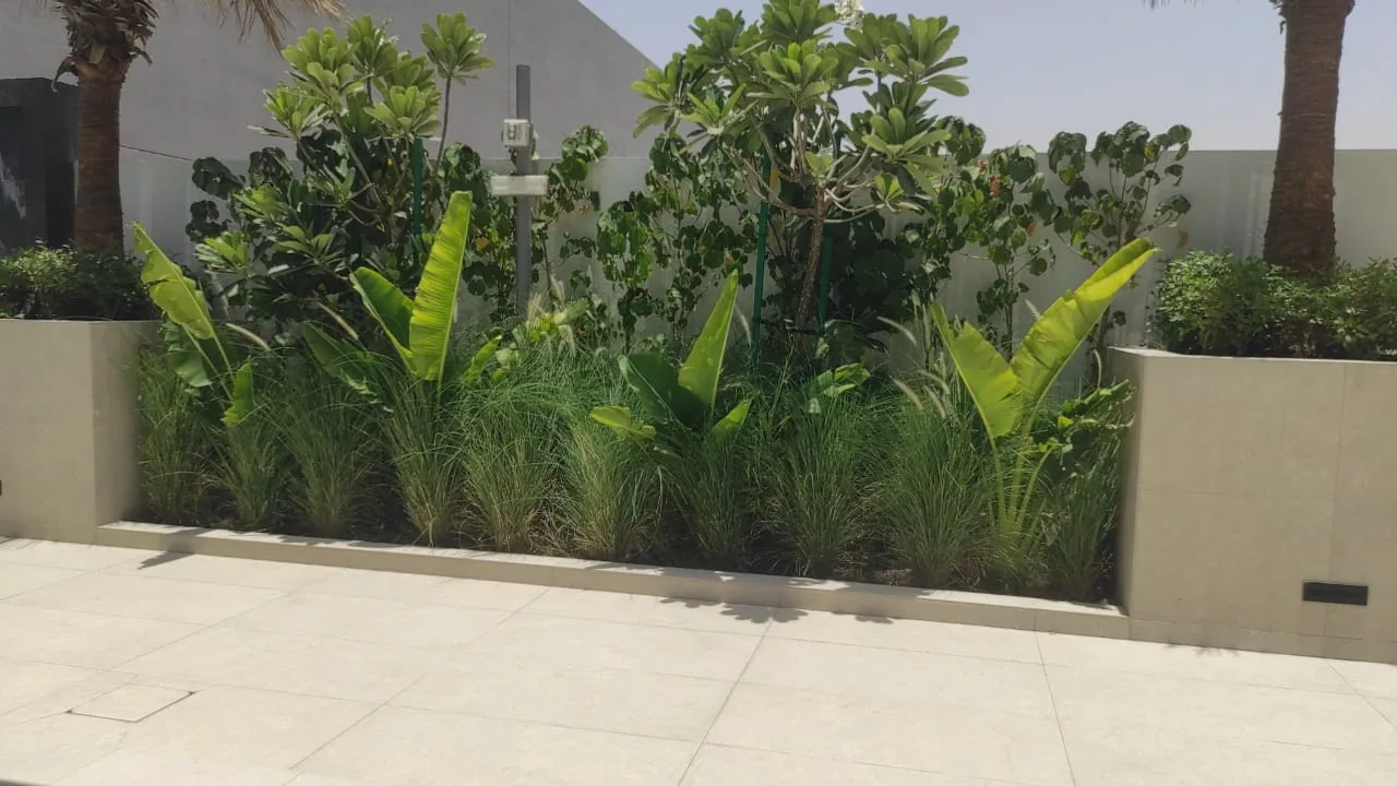A completed Masa landscaping project