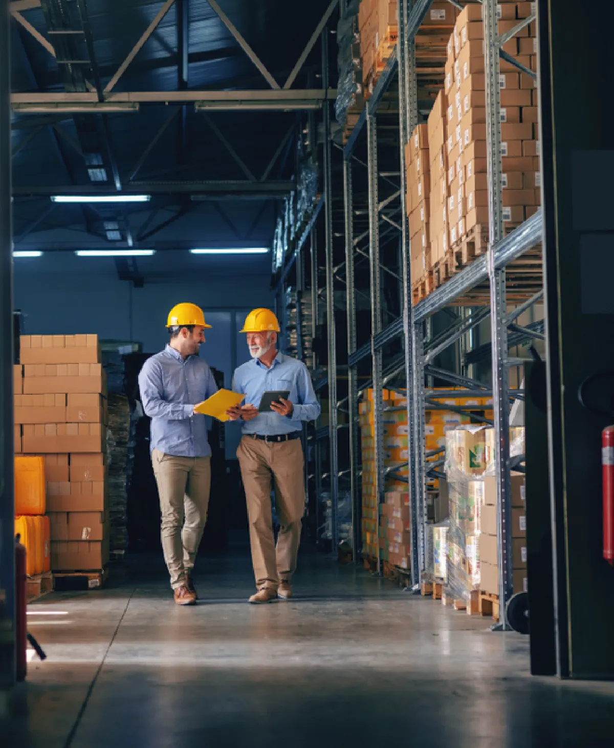 Warehouse logistics and inventory
