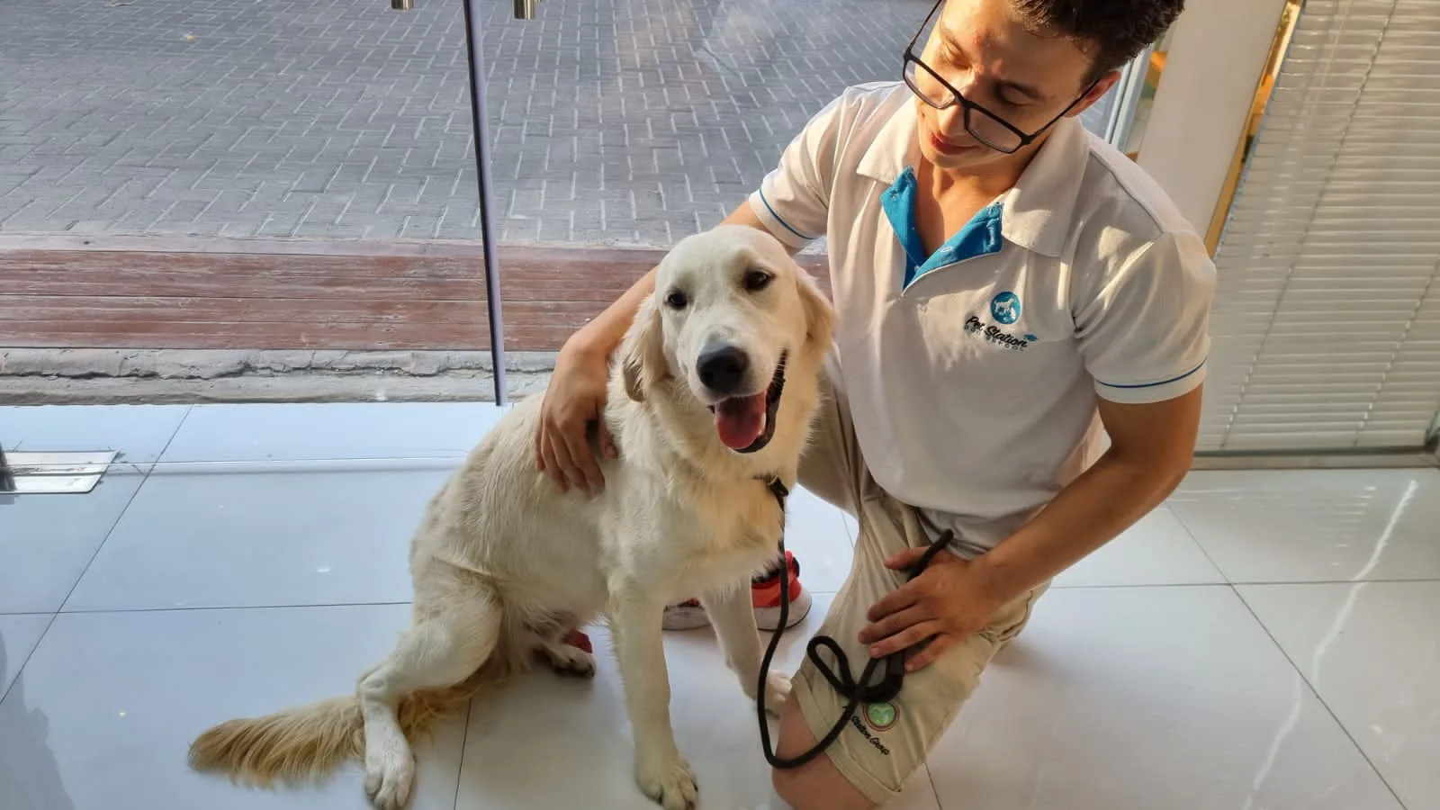 A Pet Station team member kneeling beside a happy golden retriever in the bright, light-filled reception area