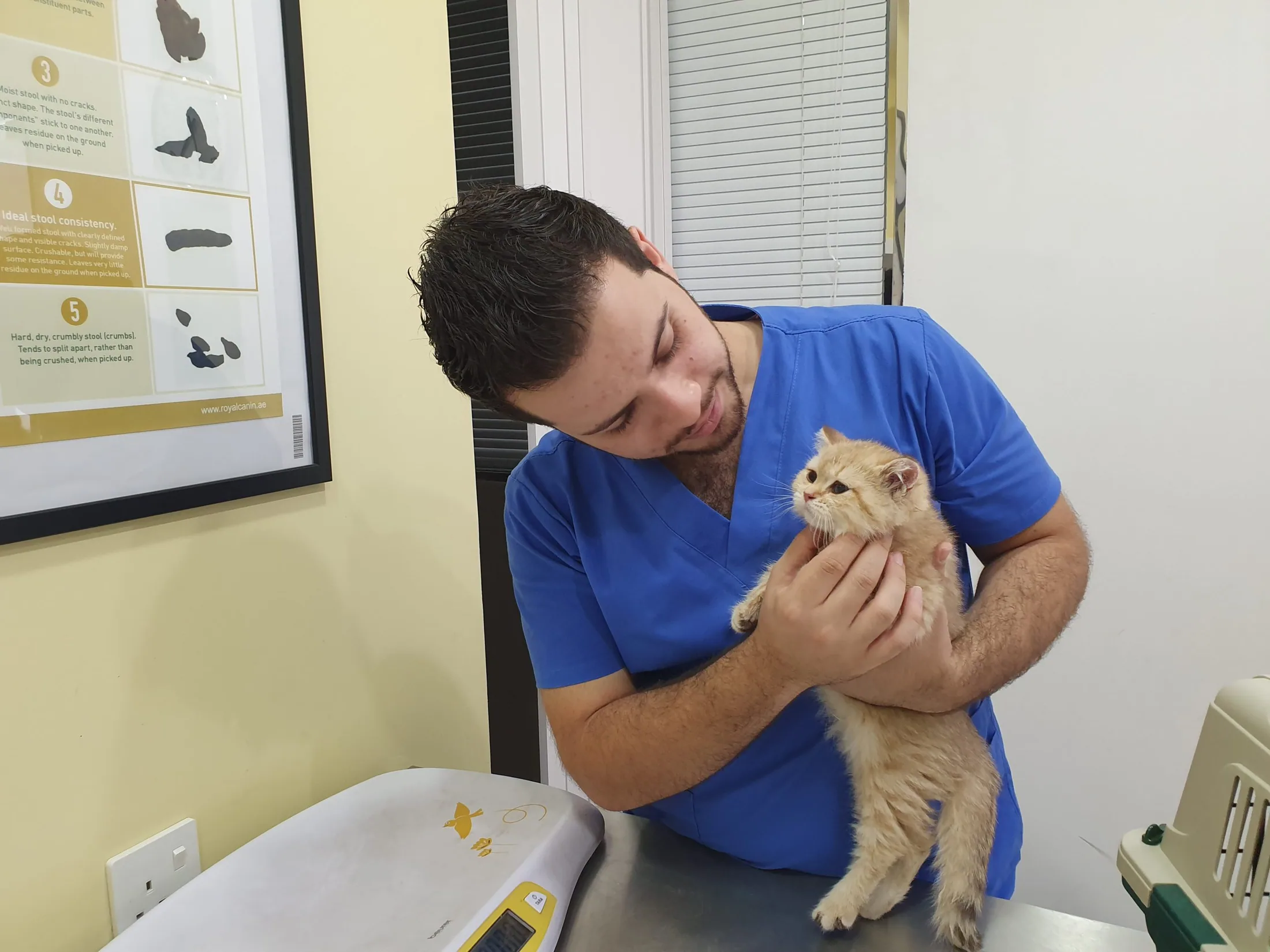 A Pet Station vet in blue scrubs gently holding a ginger cat during an examination