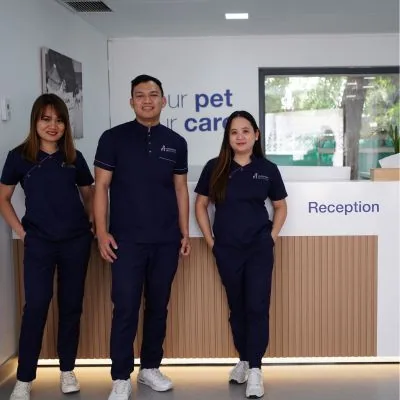 The bright, calm reception and waiting area at European Veterinary Centre