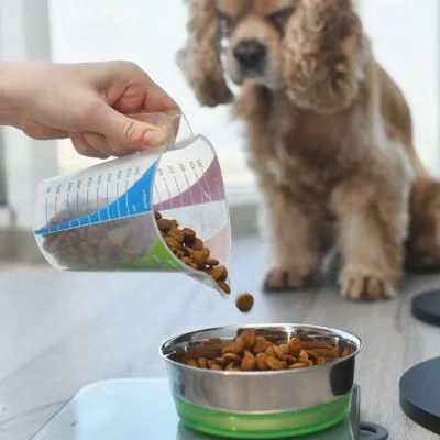 Measuring out a pet's food portion