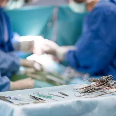 Veterinary surgical instruments on a tray