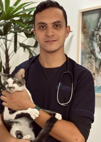 Amine Merzkane