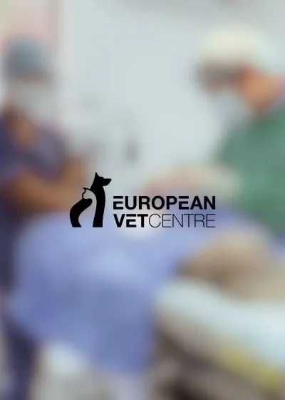 The European Veterinary Centre team at the clinic reception