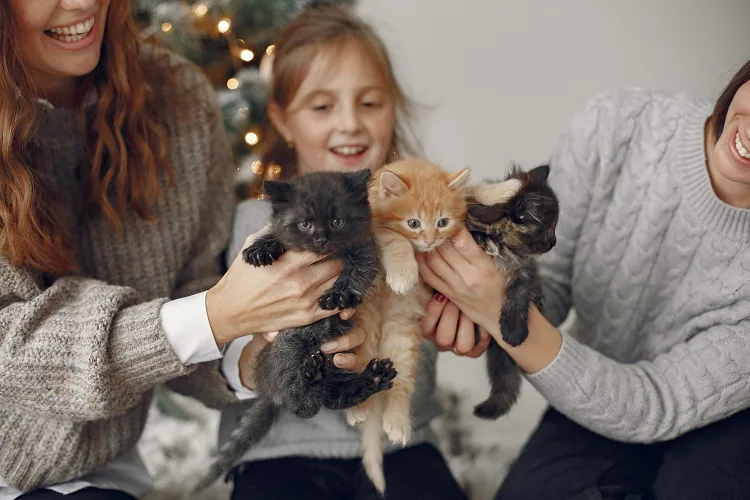 A family-positive, caring approach