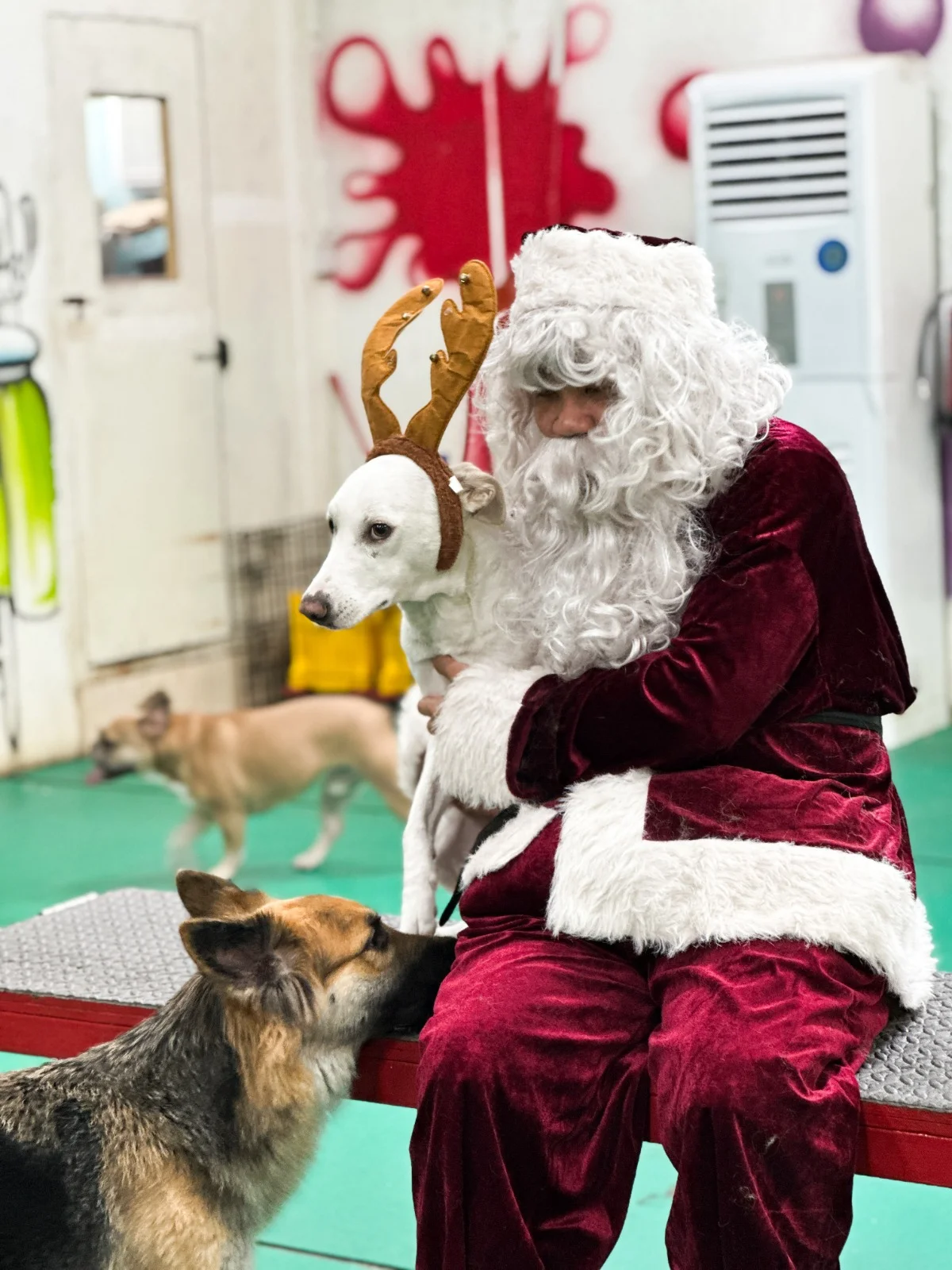 A festive day at Bruno's with Santa