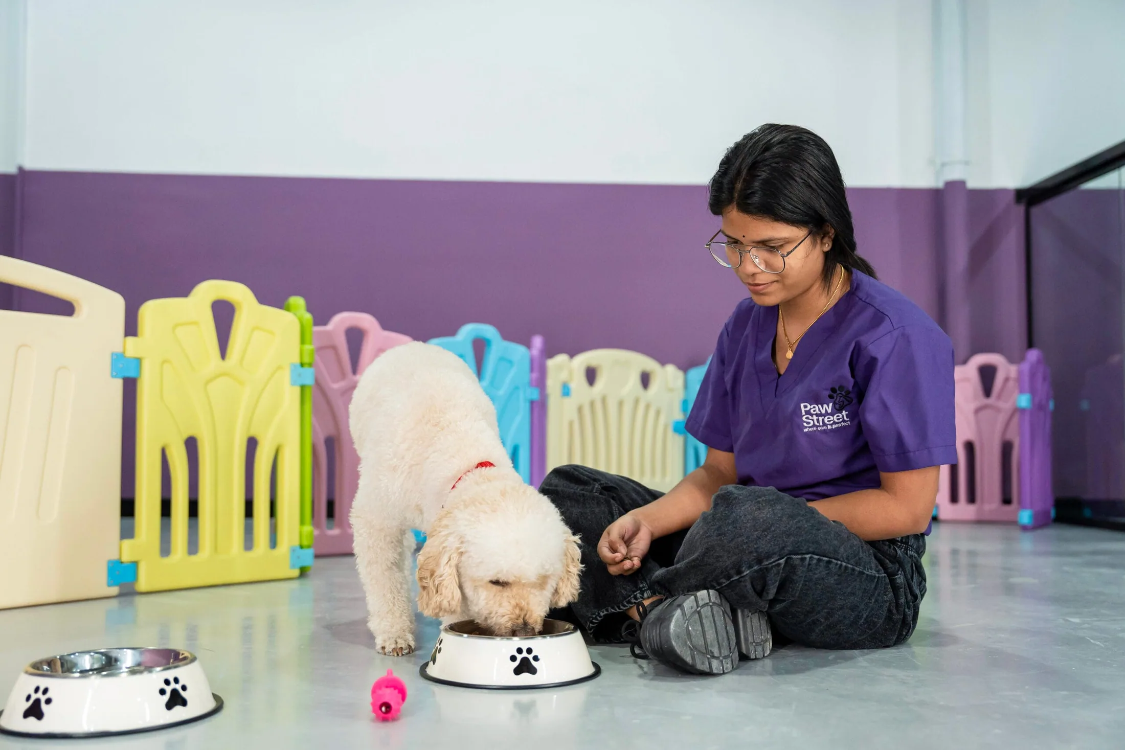 A dog enjoying mealtime with a carer in the colourful Paw Street daycare area