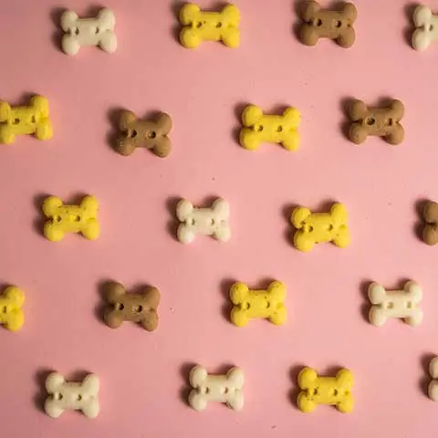 Bone-shaped dog biscuits arranged on a pink background