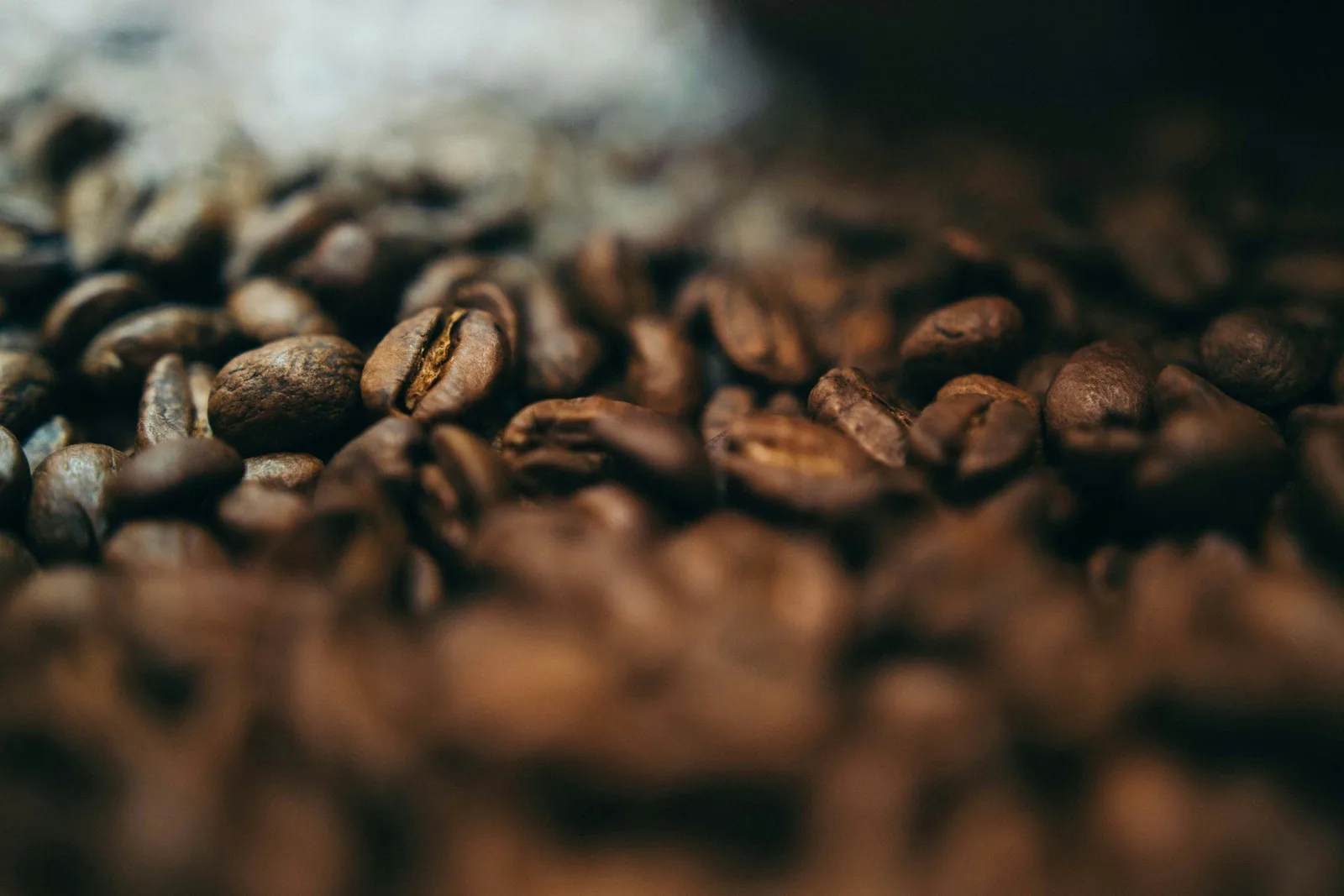Close-up of glossy roasted coffee beans