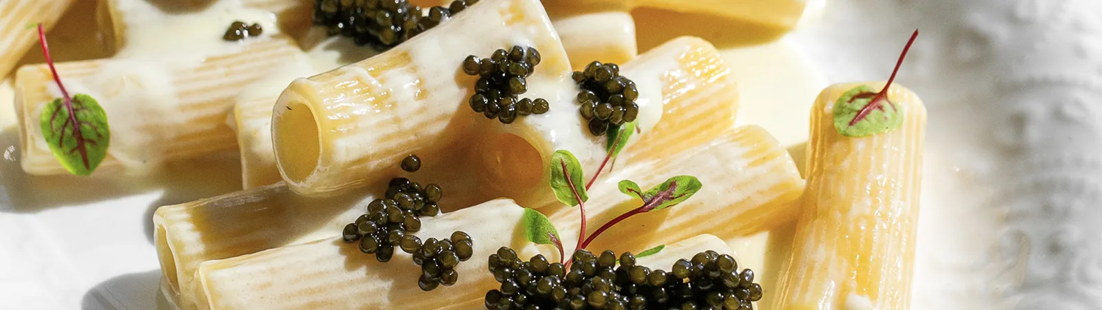 Rigatoni in a creamy parmesan sauce topped with dark caviar and micro herbs