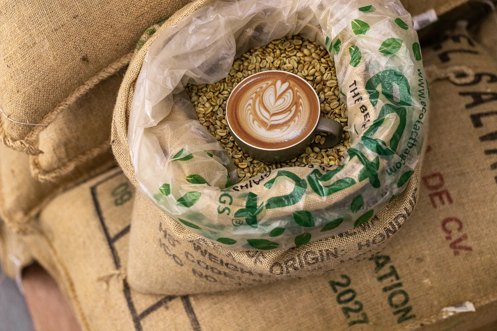 Latte with leaf-pattern art nestled among green coffee beans