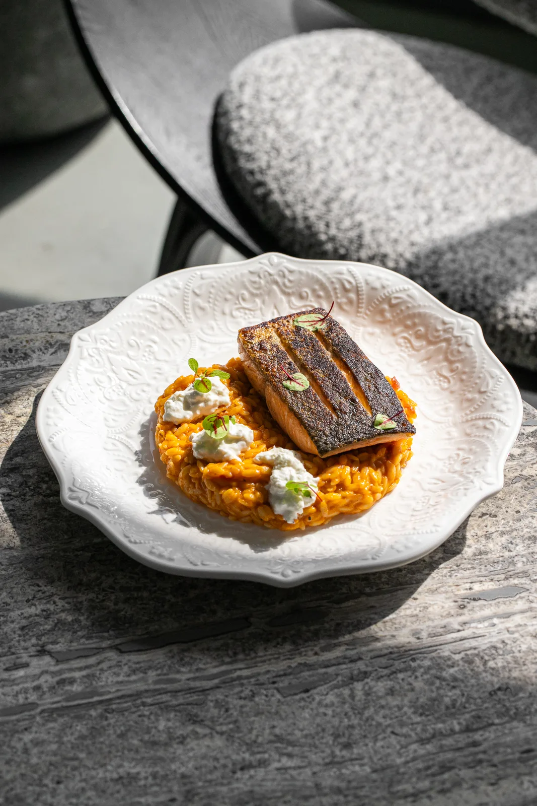 Pan-seared salmon fillet over saffron-tomato risotto with whipped labneh