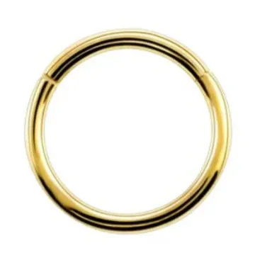 Gold seamless segment ring on a plain background