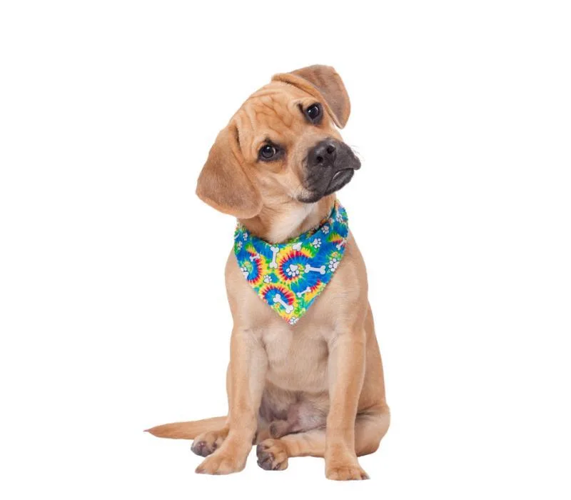 Puppy wearing a colourful bandana