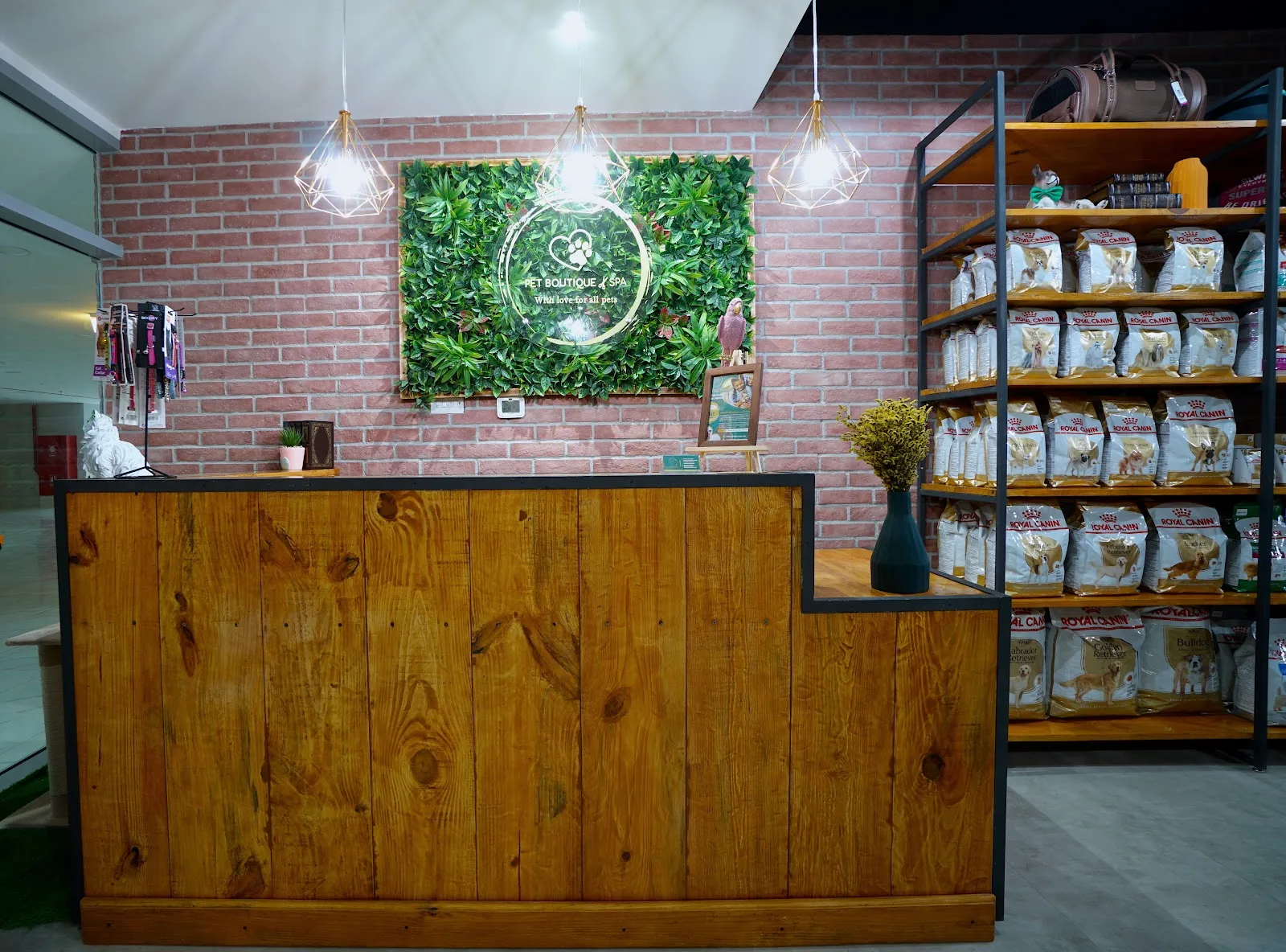 Pet Boutique reception desk with a living plant wall and food shelves