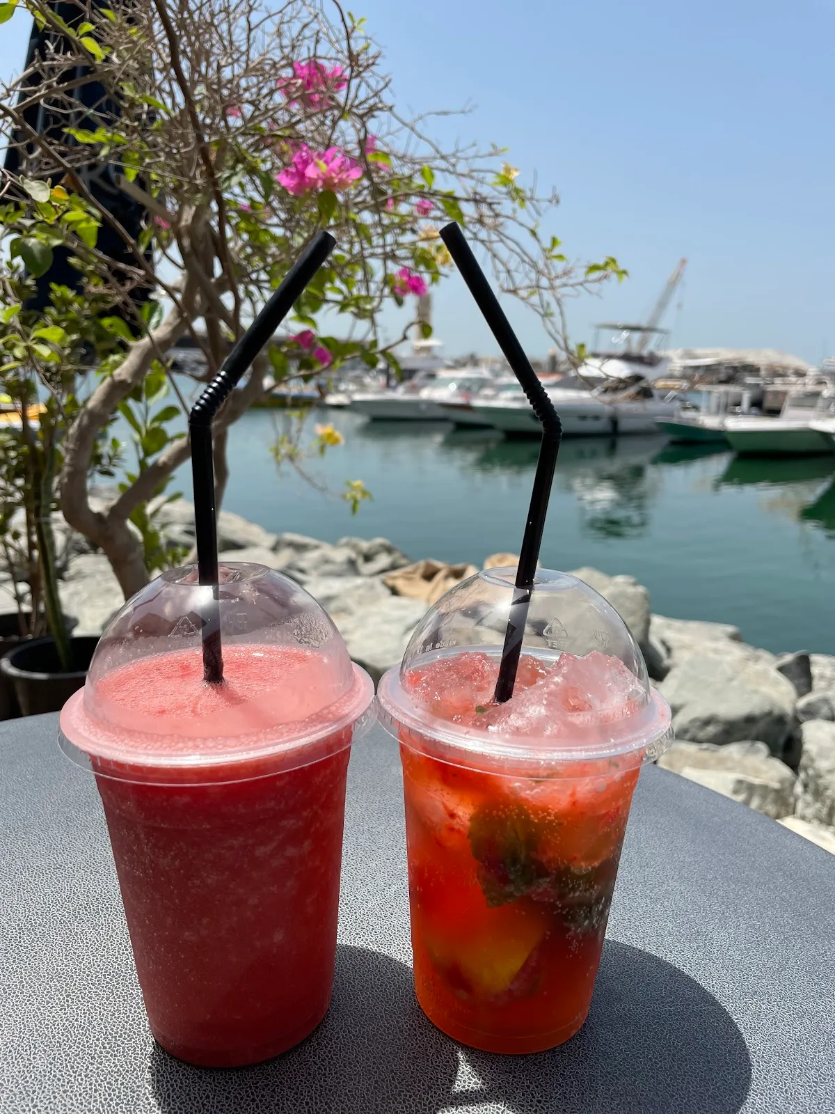 Two strawberry coolers with the marina and boats behind