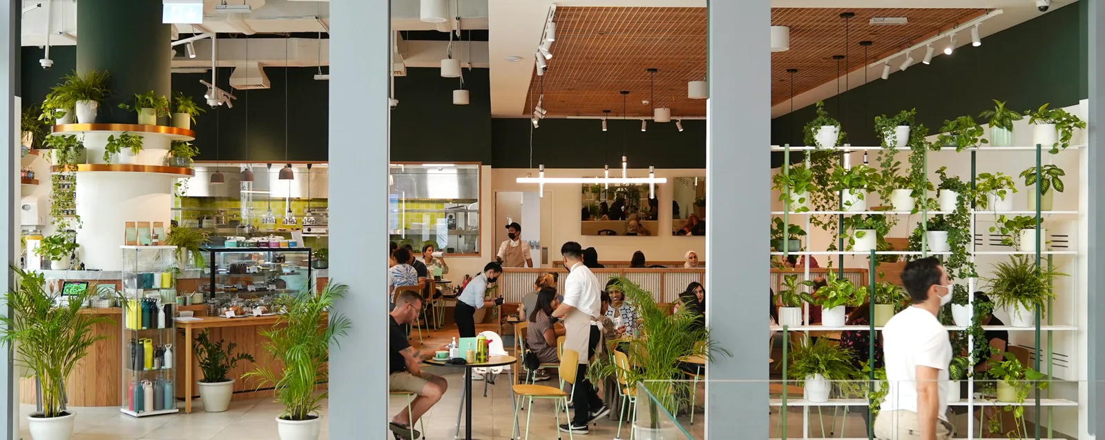 Interior with green walls, potted plants and the service counter