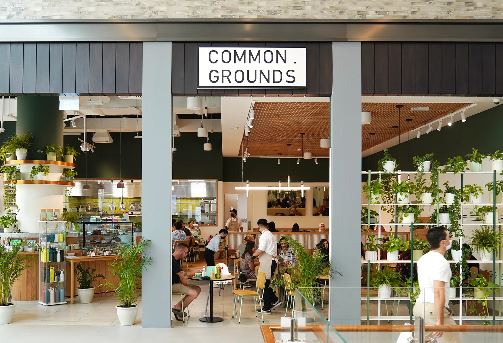 Common Grounds mall storefront with the illuminated sign, green walls and hanging plants