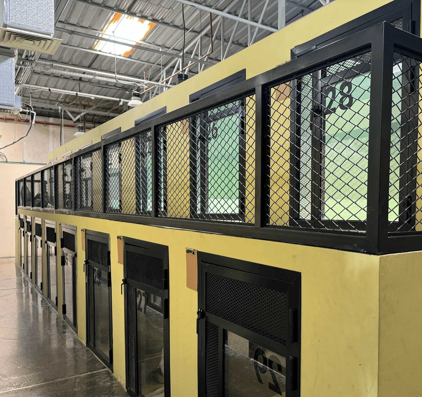 The indoor boarding suites