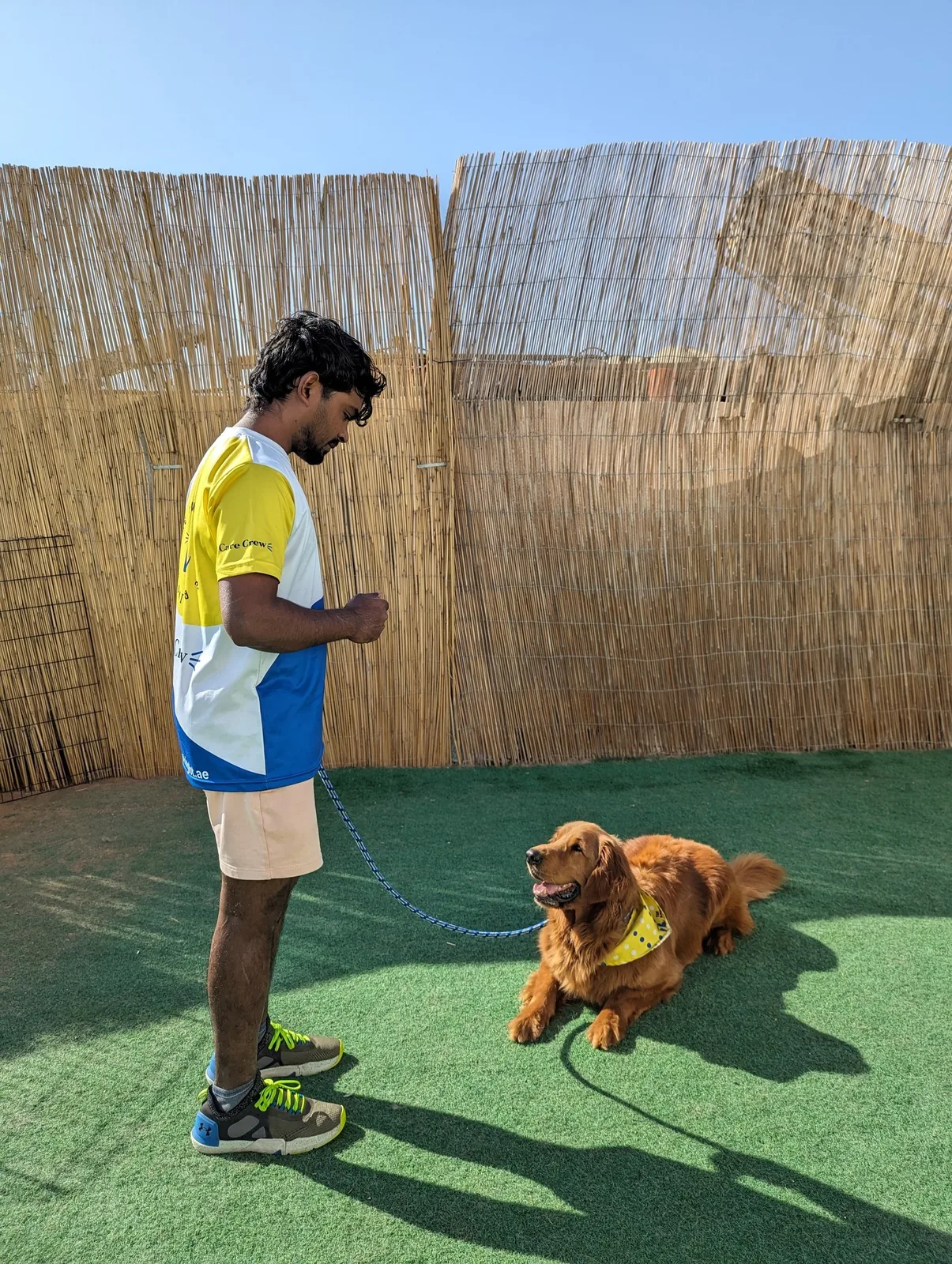 A trainer working with a dog on the outdoor turf