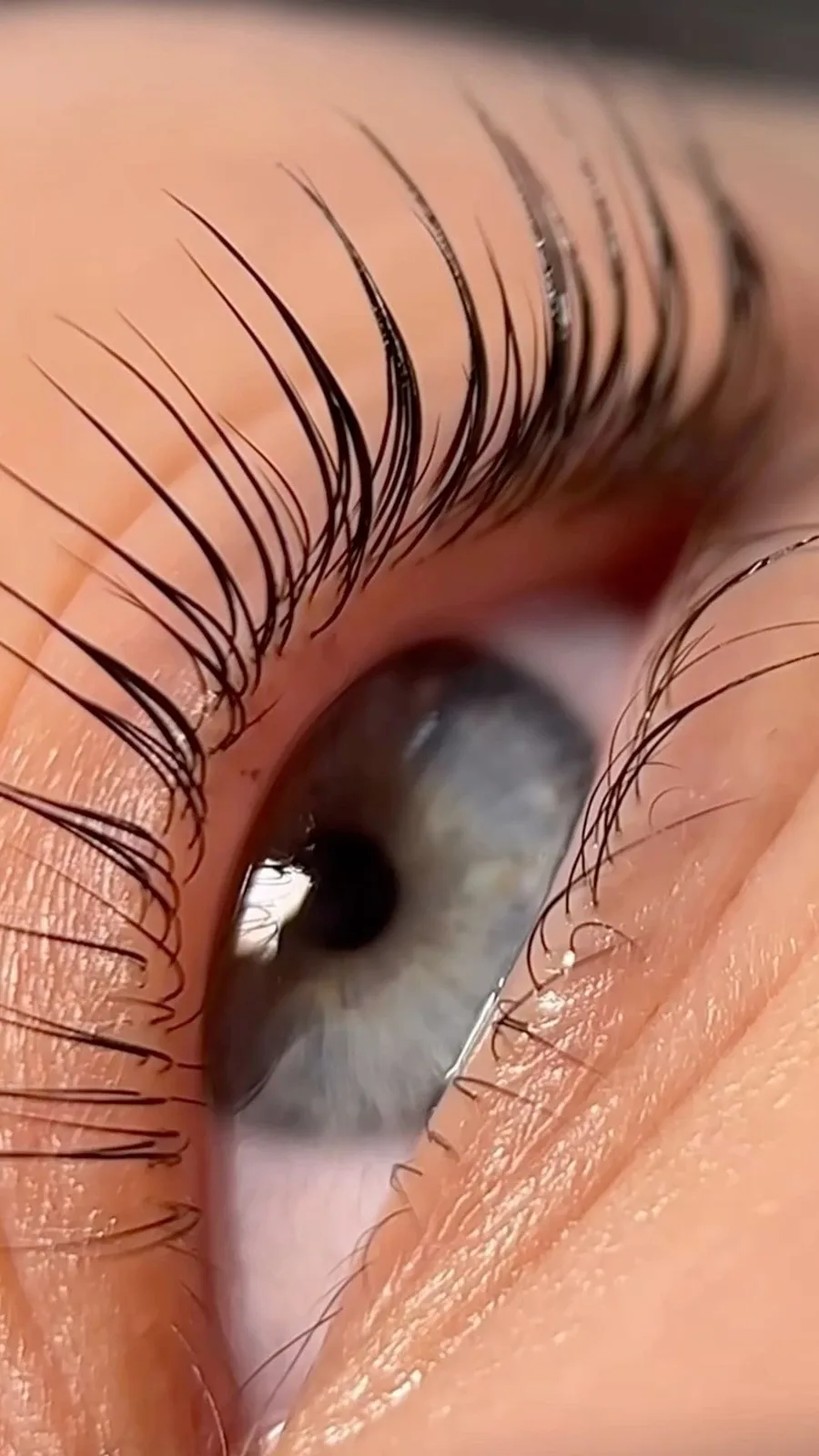 Close-up of lash extensions