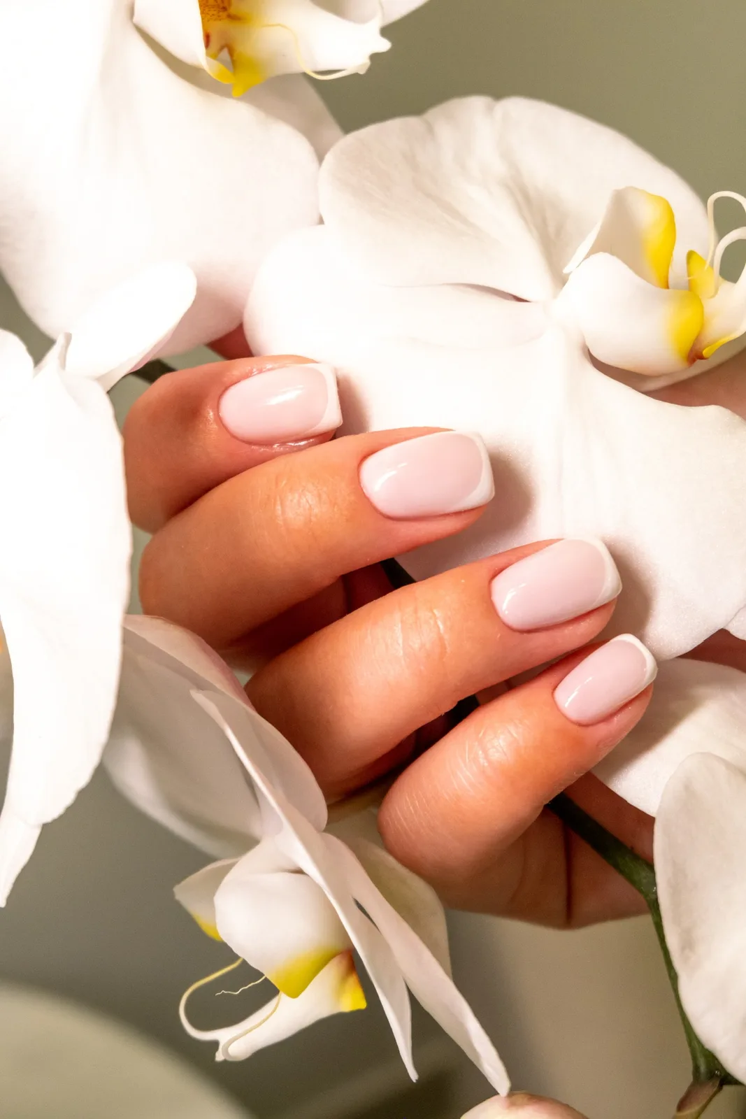 A soft pink manicure resting on white orchids