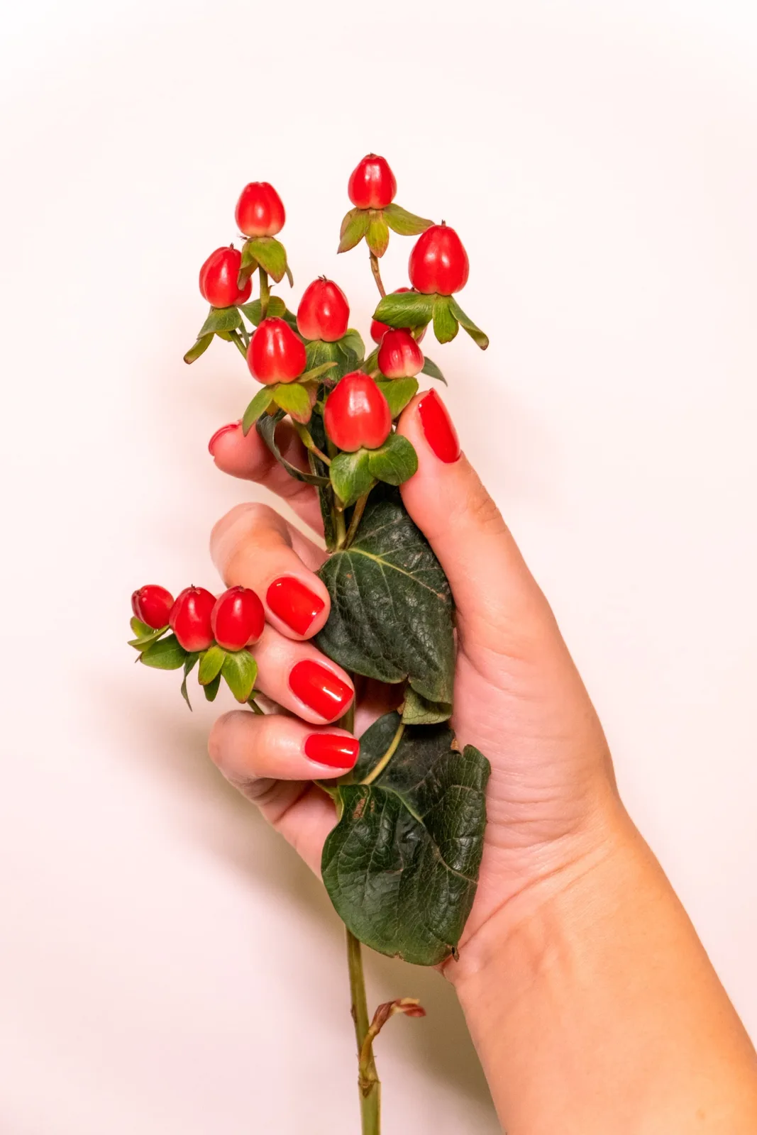 Detailed red manicure