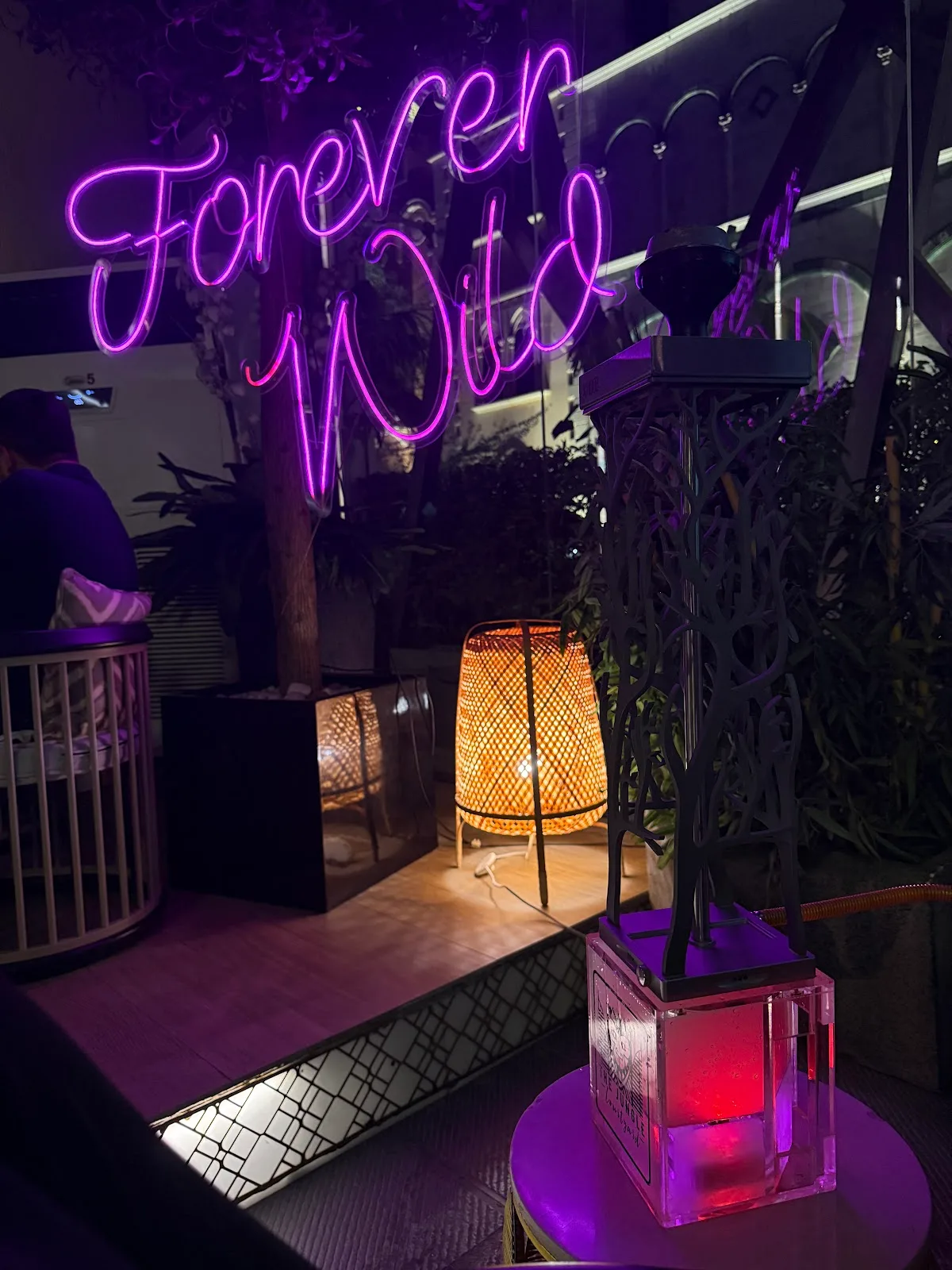 A woven lantern glowing beside the pink 'Forever Wild' neon and greenery in the lounge