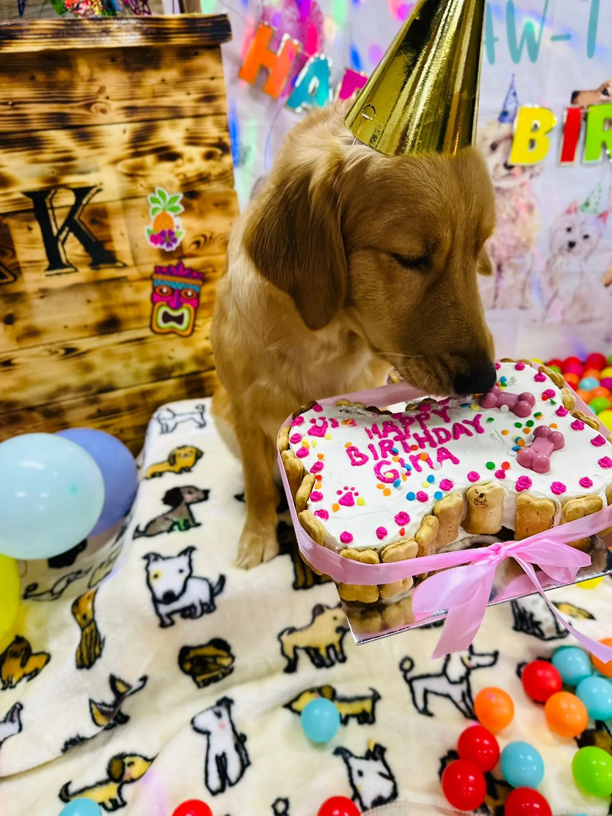 A golden retriever in a party hat with a dog-friendly birthday cake