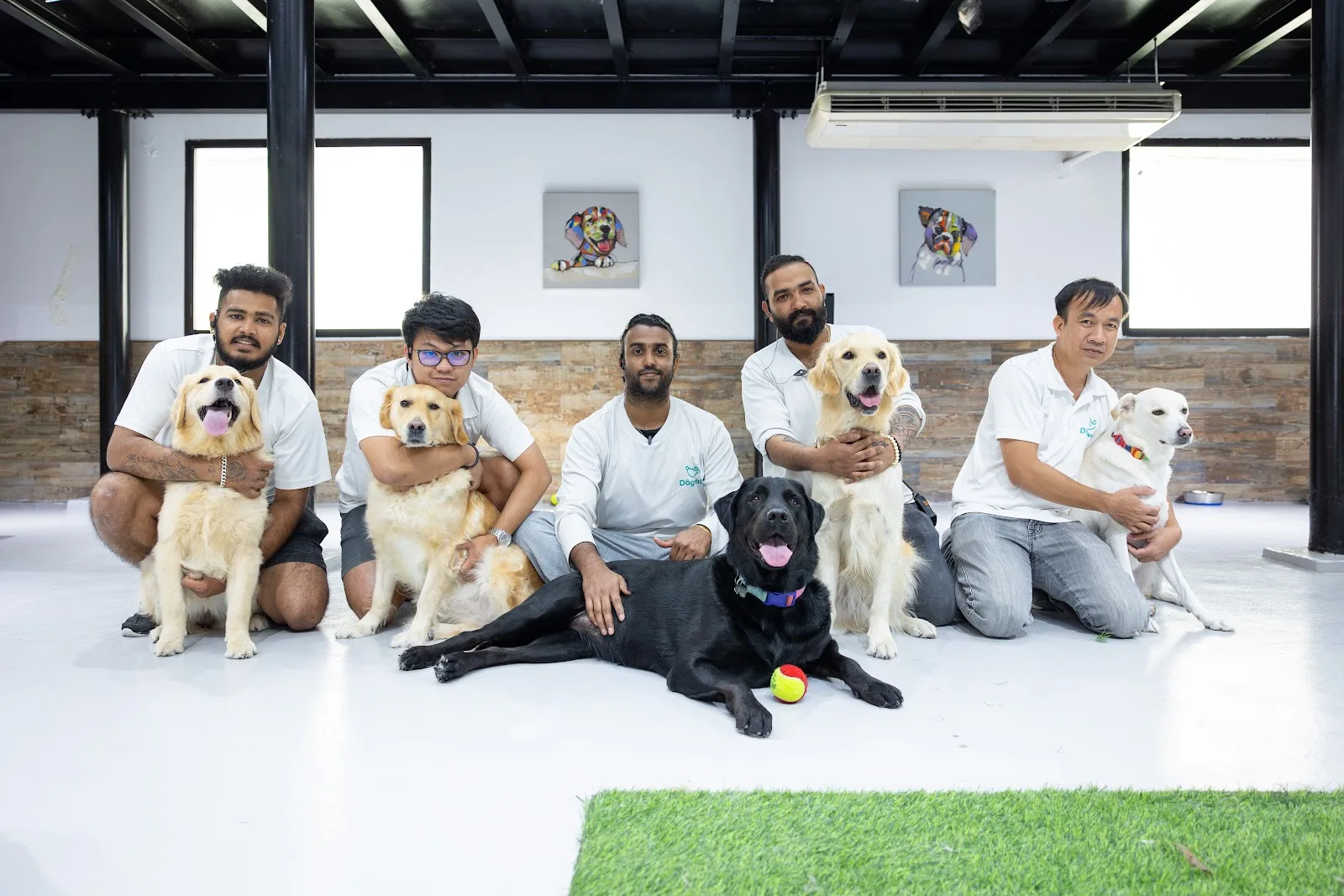 The Dogwalk team kneeling with several dogs in the play hall