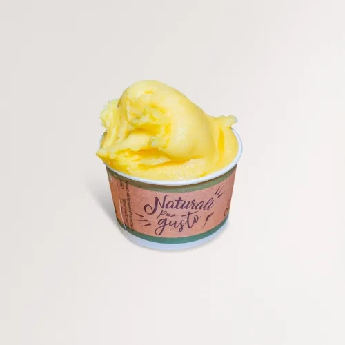 A cup of lemon sorbetto