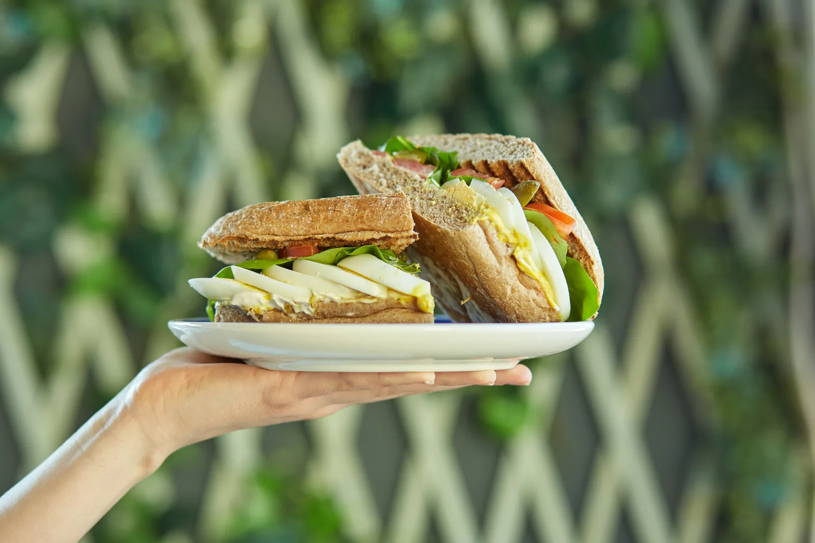 A stacked sandwich on a plate