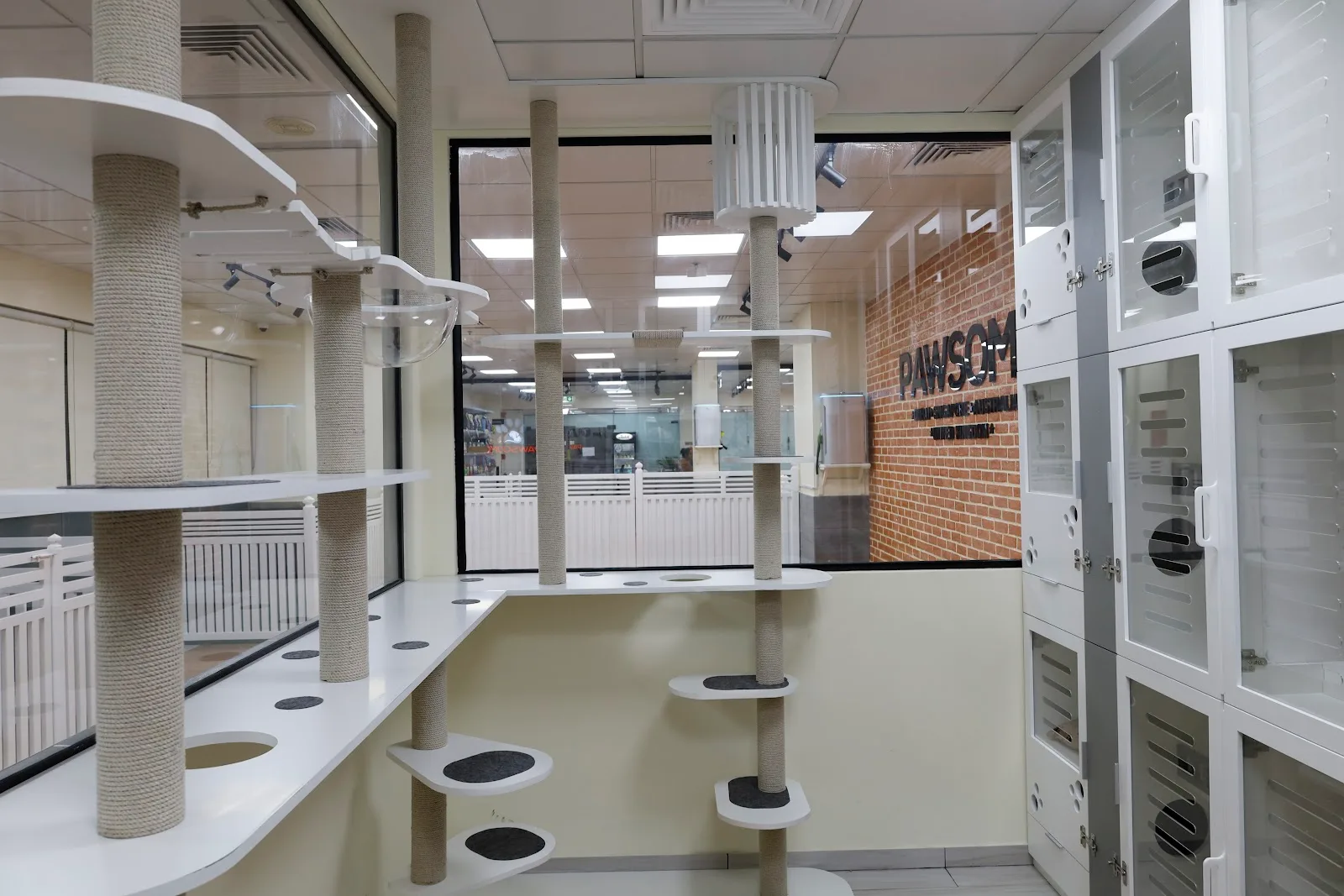 The bright cattery with climbing posts and condos