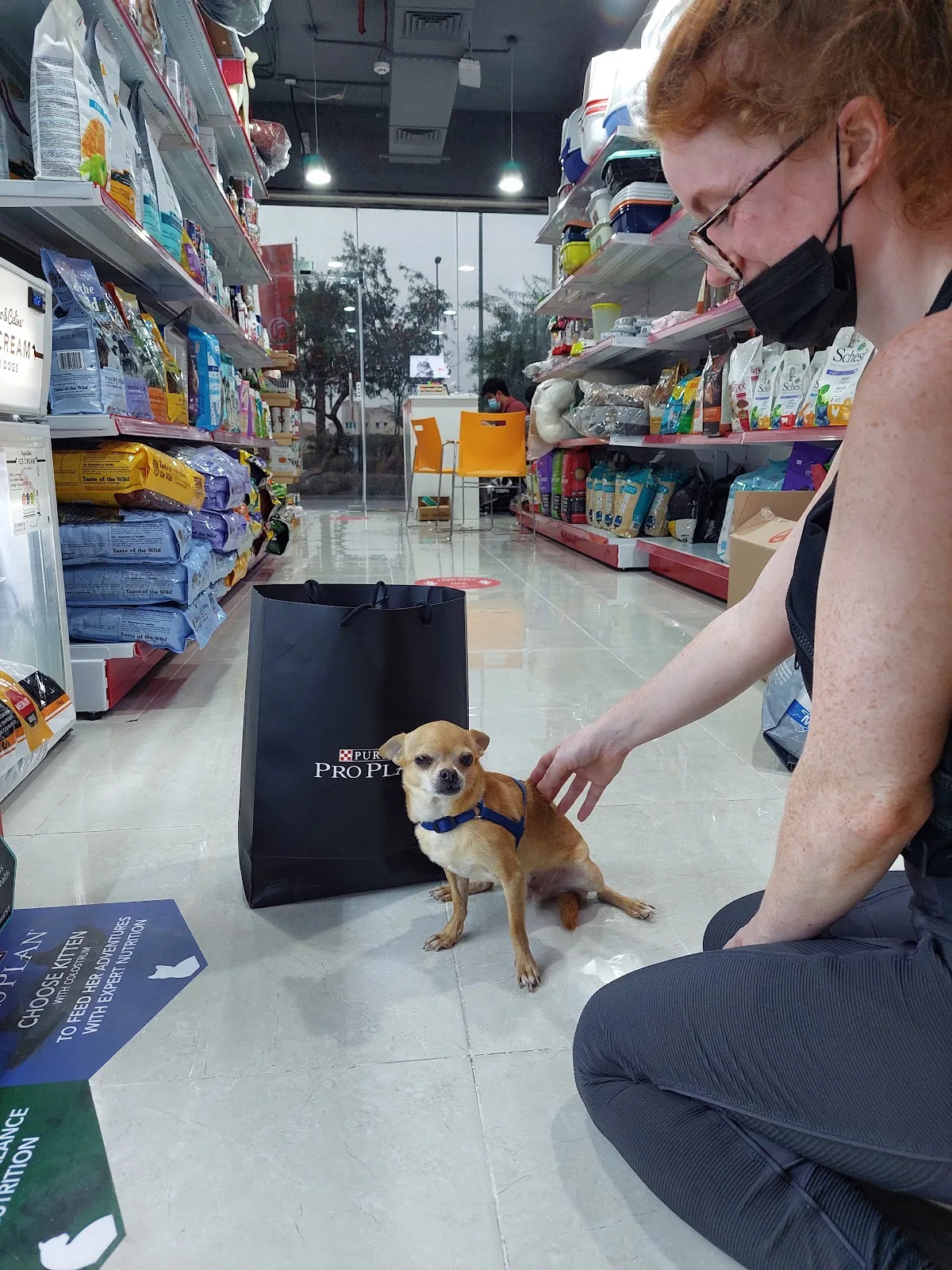 A customer kneeling to greet a small chihuahua in the store aisle