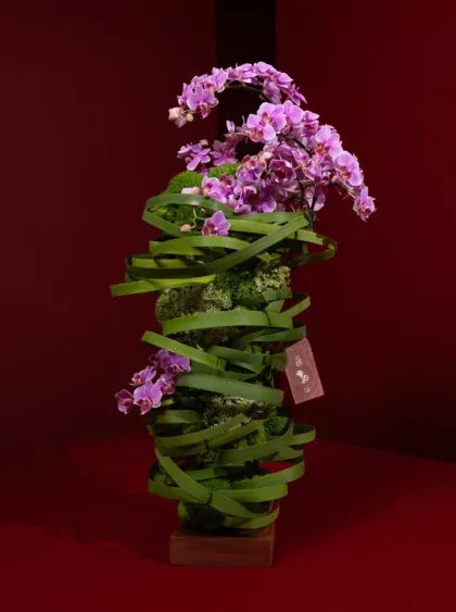 Architectural arrangement of pink orchids wrapped in a spiral of green leaf ribbon